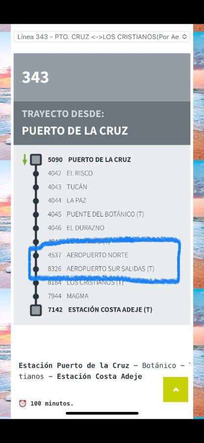 Loft Costa Adeje,playa Torviscas,garage,wifi,free Costa Adeje (Tenerife)